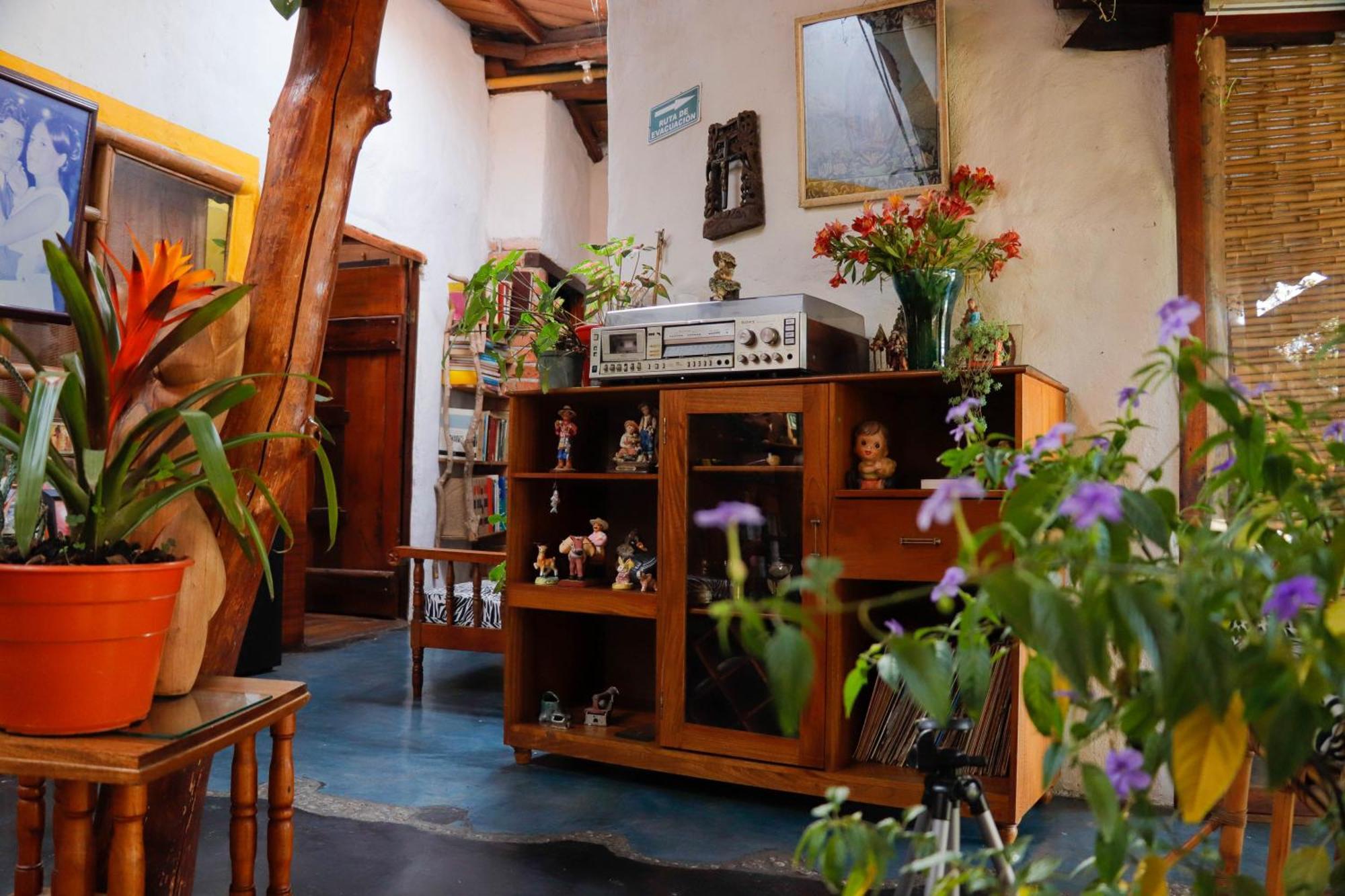 Hotel Casa Tarzan San Agustin Ngoại thất bức ảnh